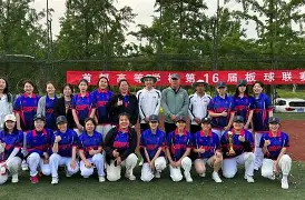 板球大奖赛上演强强对话，辽东貔貅队淘汰对手皖江灰熊队，战术调整见效；宿敌对话再升级的简单介绍